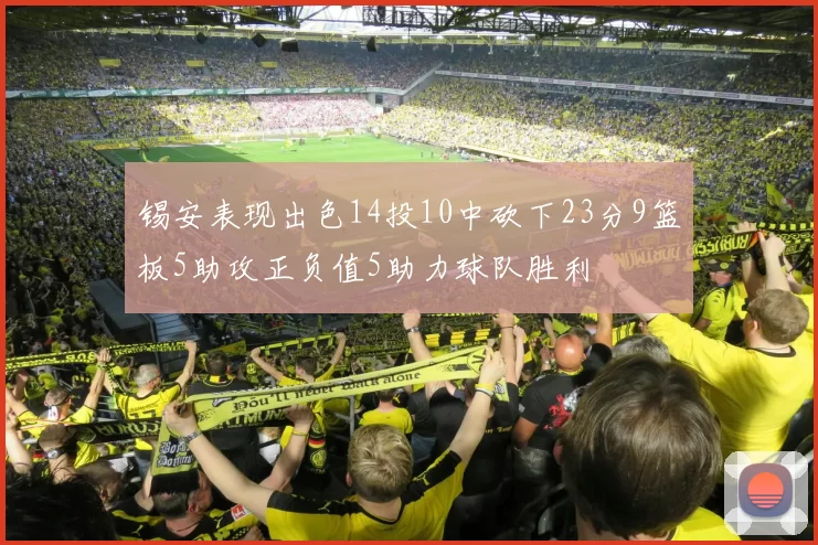 锡安表现出色14投10中砍下23分9篮板5助攻正负值5助力球队胜利
